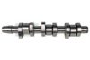 VW 045109101J Camshaft